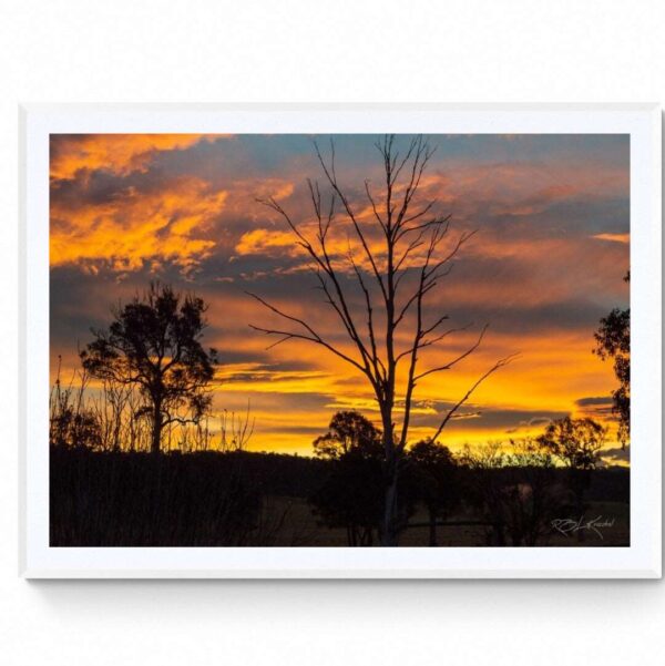 Wallagoot Sunset - Matte Framed Print