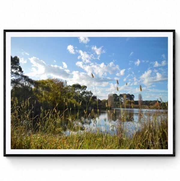 McLeods Waterholes Reserve  - Matte Framed Print
