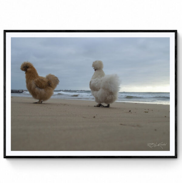 Chicks on the beach (1)- Matte Framed Print
