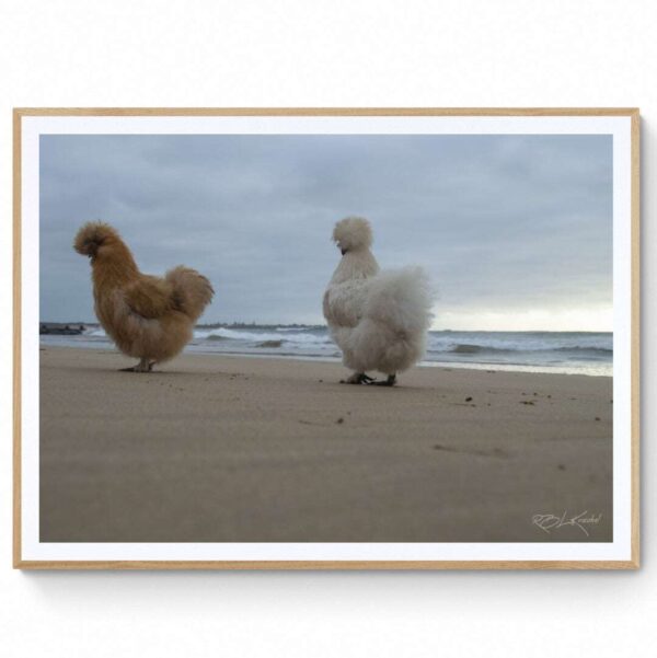 Chicks on the beach (1)- Matte Framed Print