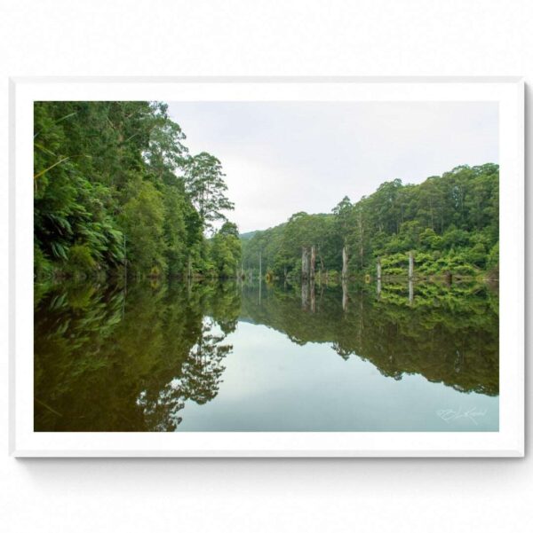 Lake Elizabeth - Matte Framed Print