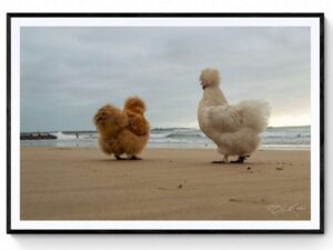 Chicks on the beach (2)-Matte Framed Print