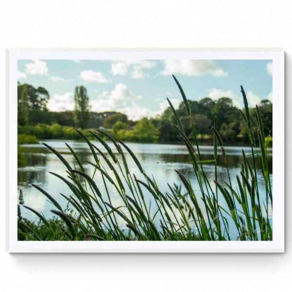 McLeods Waterhole Reserve (2) Matte Framed Print