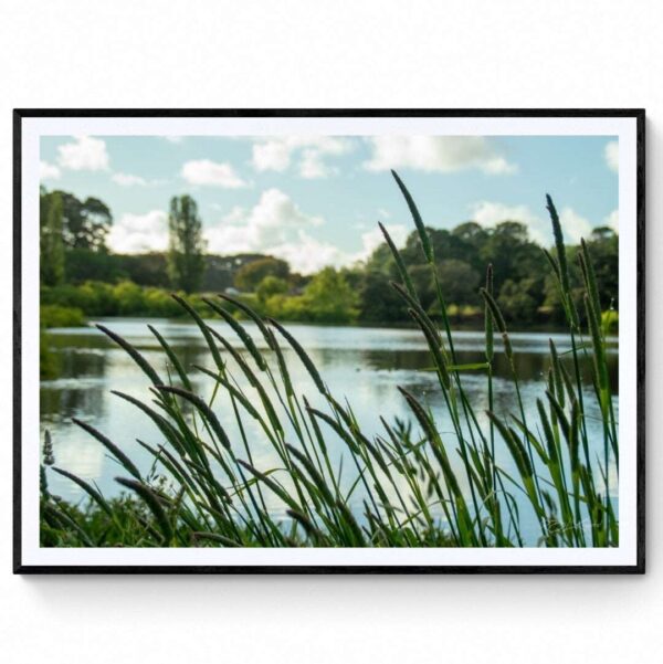 McLeods Waterhole Reserve (2) Matte Framed Print