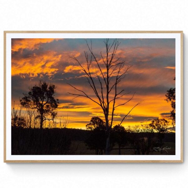 Wallagoot Sunset - Matte Framed Print