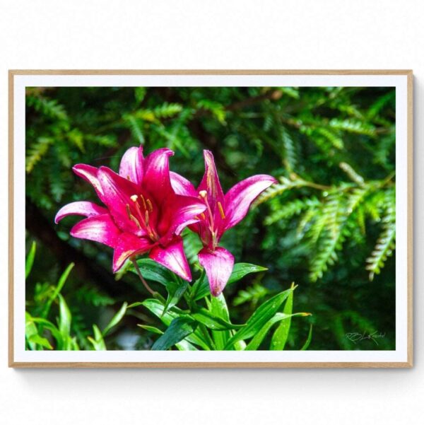 Mountain Lodge - Lilly (2)-Matte Framed Print