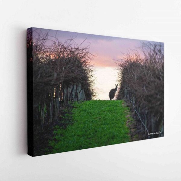 Sunset in the vines-Canvas Wrap