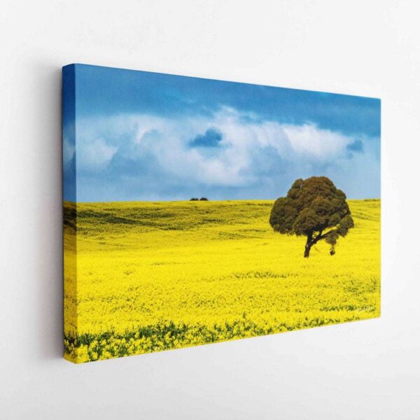 Mirror Of My Mind Photography Canola Fields-Canvas Wrap