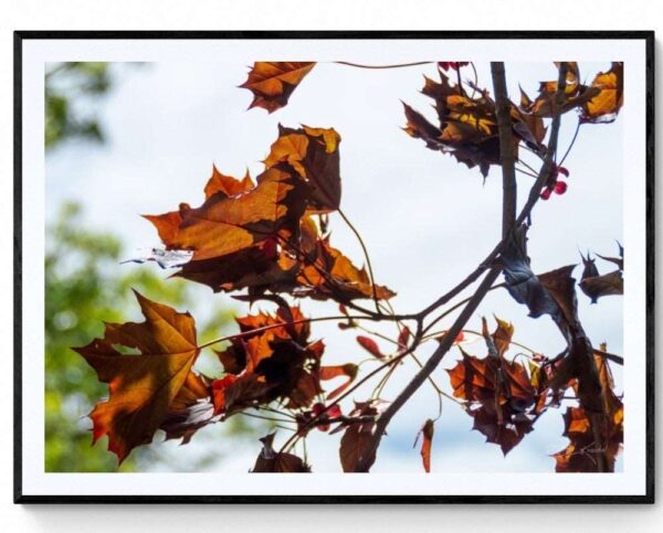 Autumn Leaves - Lake Jubilee - Matte Framed Print