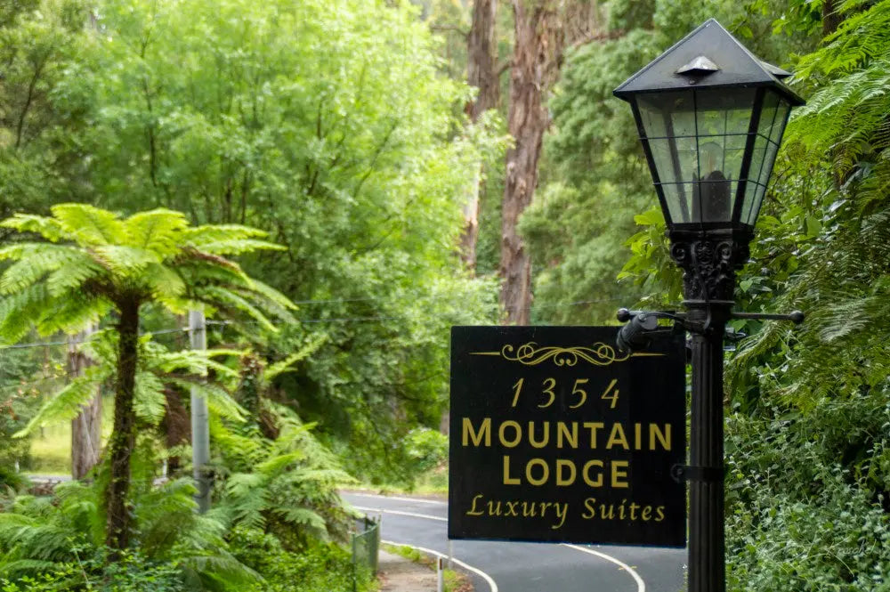 Coming soon! - Mount Dandenong Mountain Lodge - wall art gallery. Mirror Of My Mind Photography