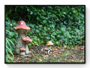 Mountain Lodge - Mushrooms-Framed Print