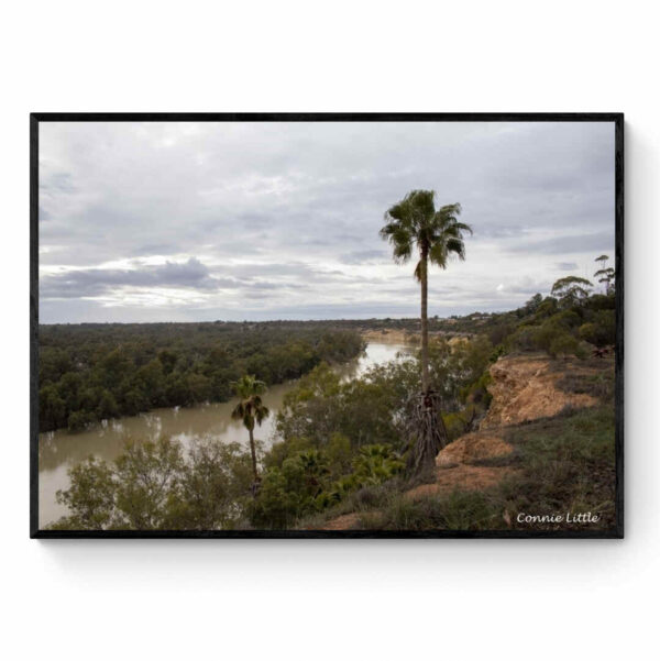 Murray River-Framed Print Mirror Of My Mind Photography