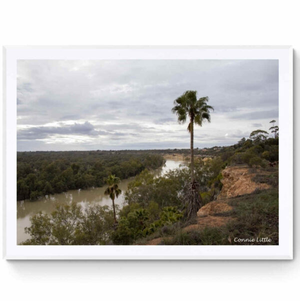 Mirror Of My Mind Photography Murray River-Matte Framed Print