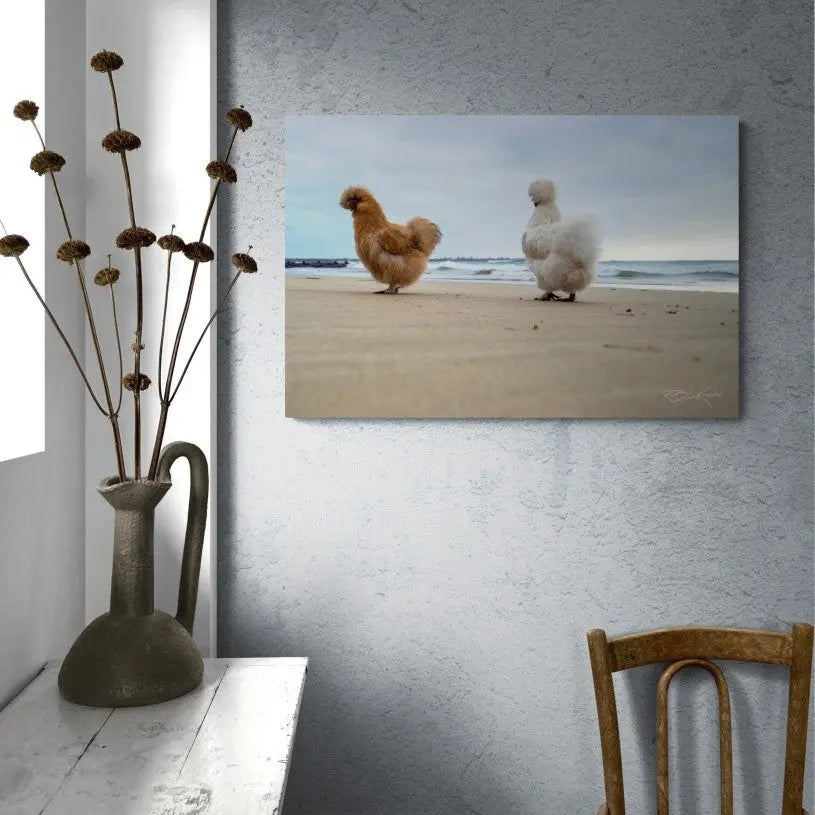 Latest Arrivals - Chicks on the beach. Mirror Of My Mind Photography