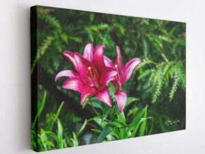 Mountain Lodge - Lilly (2)-Canvas Wrap