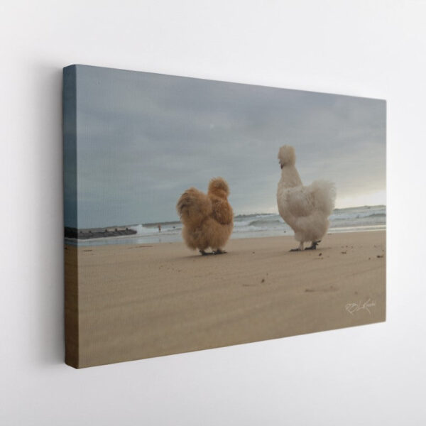 Chicks on the beach (1)-Canvas Wrap