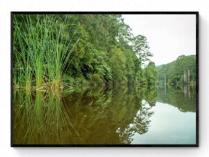 Lake Elizabeth - Framed Print