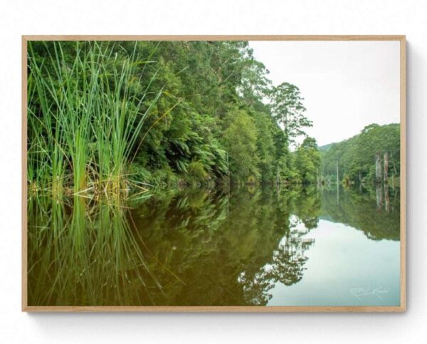 Lake Elizabeth - Framed Print