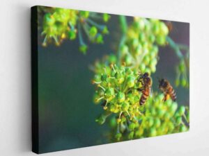 Working Bee-Canvas Wrap