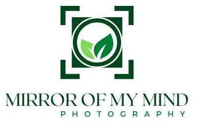 Mirror Of My Mind Photography