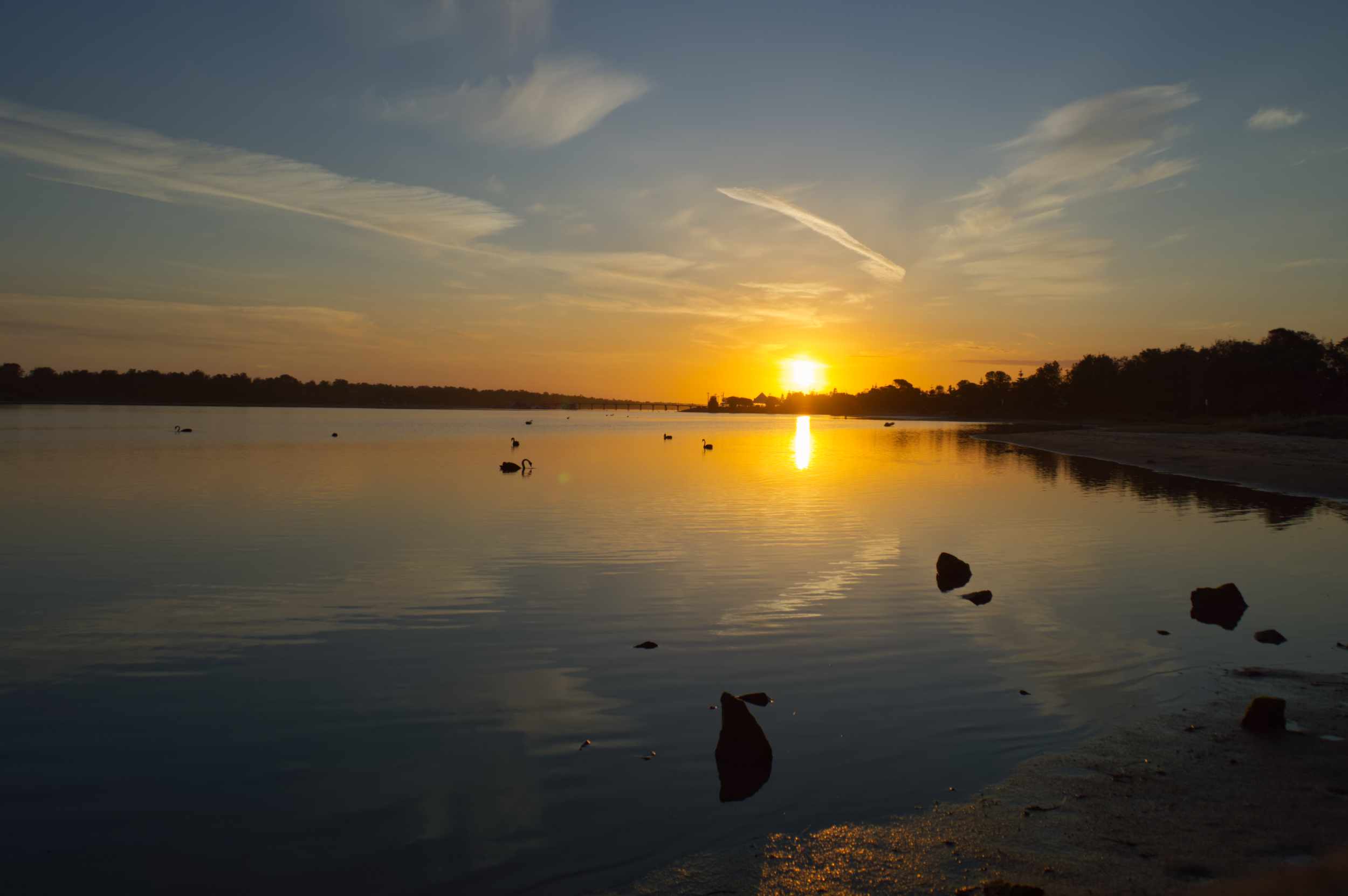 A tranquil sunset over still waters at Lakes Entrance, with soft golden light reflecting across the calm surface and silhouettes of birds drifting peacefully.